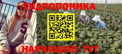 индика Кулебаки