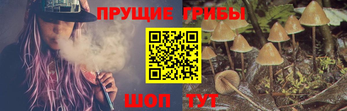 Псилоцибиновые грибы GOLDEN TEACHER  Вход с VPN  где купить наркоту  Псилоцибиновые грибы ЛСД  Воткинск 