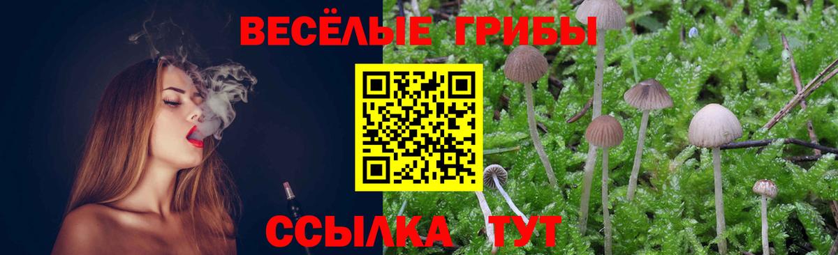 Псилоцибиновые грибы ЛСД Воткинск